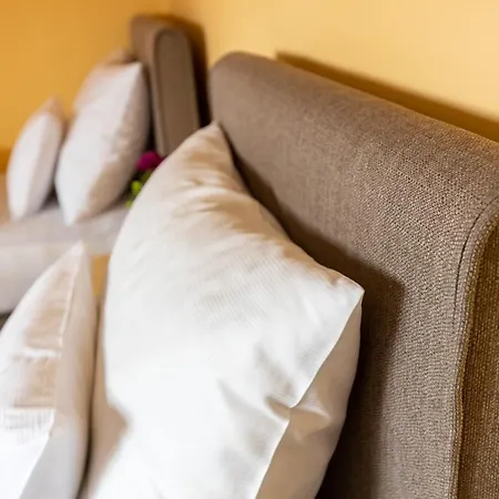 Gasthof Betli Panzió Zalaegerszeg