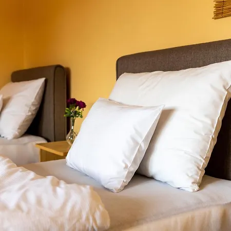 Betli Panzió 3* Zalaegerszeg