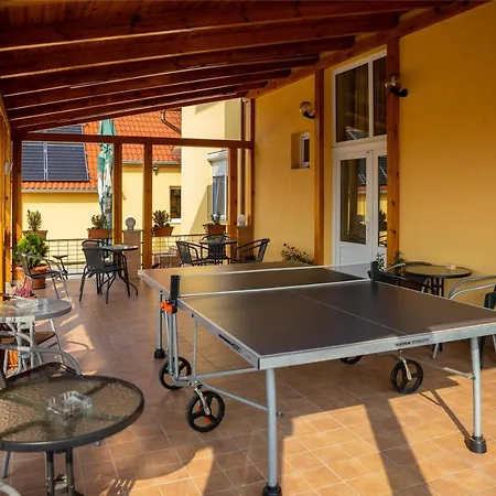 Betli Panzio Gæstehus Zalaegerszeg