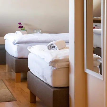 Betli Panzio 게스트하우스 3*