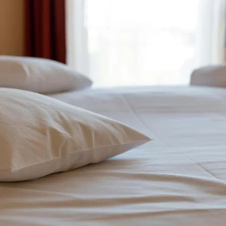 게스트하우스 Betli Panzio