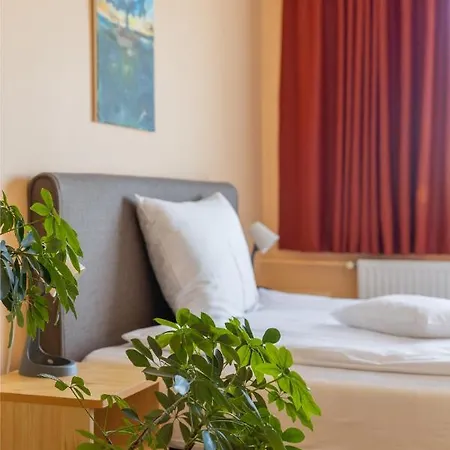 Betli Panzió Gasthof 3*