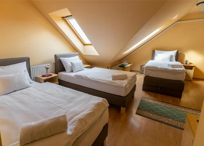 贝缇里帕兹奥旅馆 佐洛埃格塞格