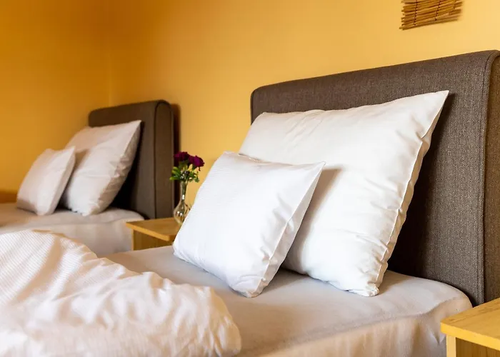 贝缇里帕兹奥旅馆 3* 佐洛埃格塞格