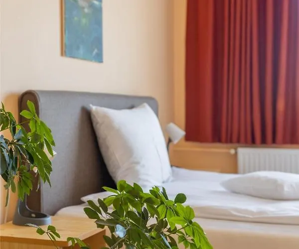 贝缇里帕兹奥旅馆 招待所 3*